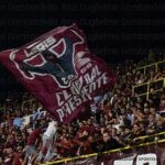 tifosi-1